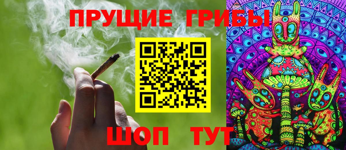 Псилоцибиновые грибы Psilocybe  Вход с VPN  Избербаш 